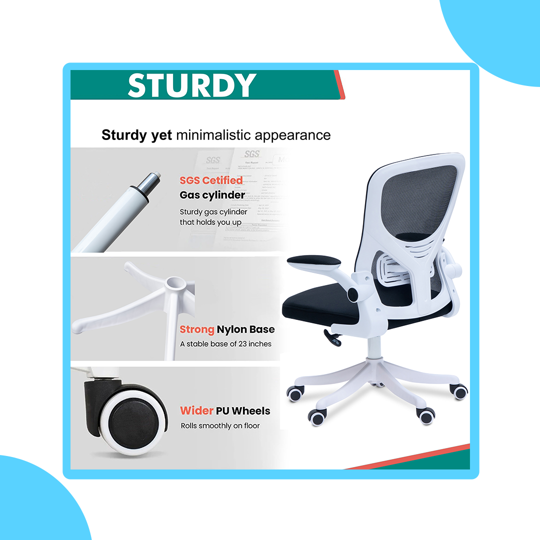 Alex Daisy Flexo Ergonomic Office Chair/Study Chair/Computer Chair (without Headrest)