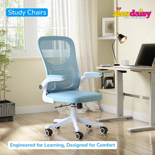 Office & Study Chairs