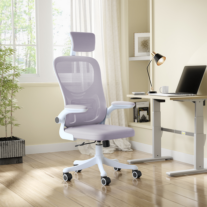 Alex Daisy Plastic Flexo Ergonomic Office Chair/Study Chair/Computer Chair (With Headrest)