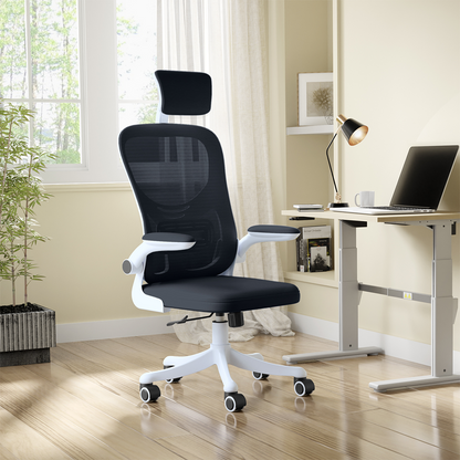 Alex Daisy Plastic Flexo Ergonomic Office Chair/Study Chair/Computer Chair (With Headrest)