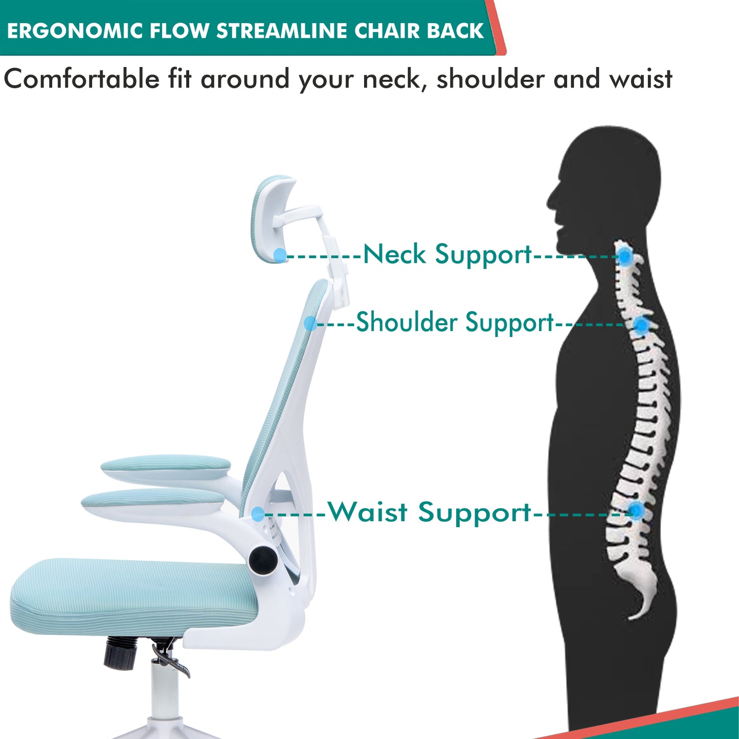 Alex Daisy Flexo Ergonomic Office Chair/Study Chair/Computer Chair (without Headrest)