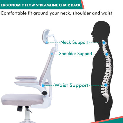 Alex Daisy Flexo Ergonomic Office Chair/Study Chair/Computer Chair (without Headrest)