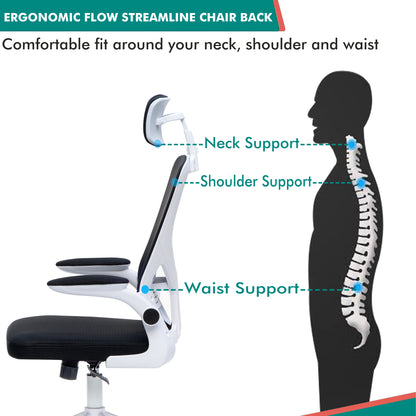 Alex Daisy Flexo Ergonomic Office Chair/Study Chair/Computer Chair (without Headrest)