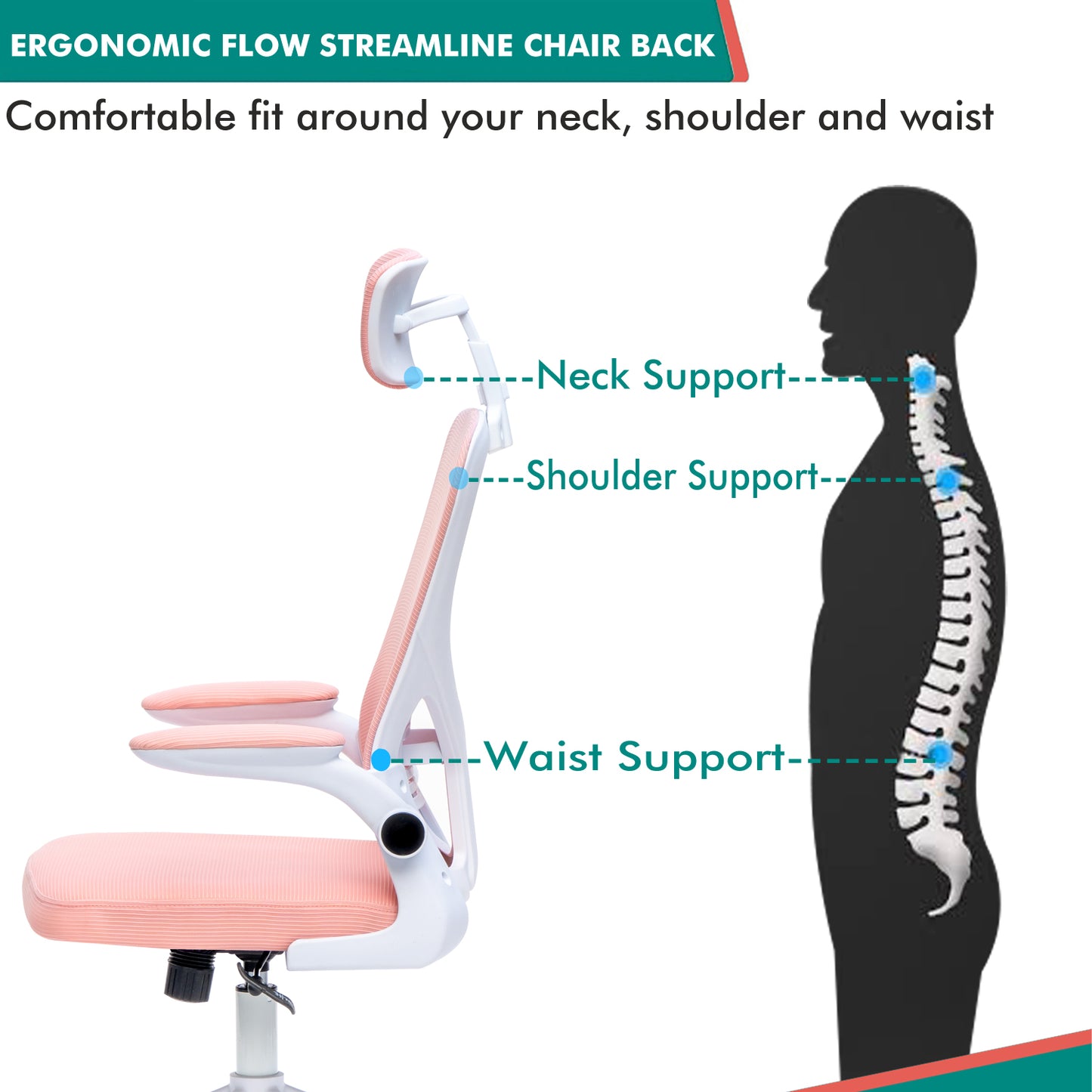 Alex Daisy Flexo Ergonomic Office Chair/Study Chair/Computer Chair (without Headrest)